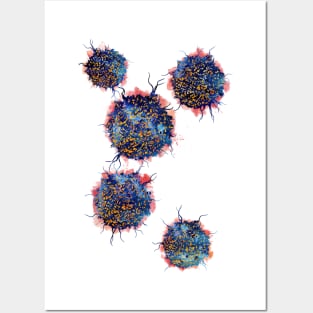 T cells Posters and Art